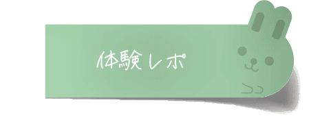 体験レポ
