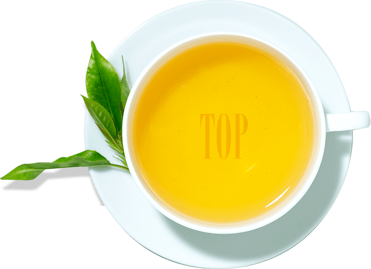 Topへ